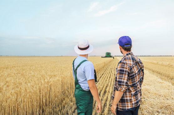 Quelle société agricole choisir ? Quelle société agricole choisir ?