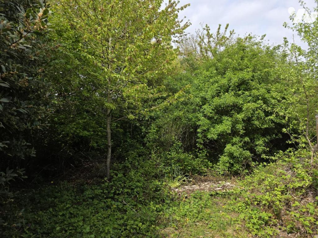 Maison d'Avion de 74.81 m²