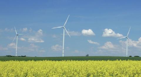 Le notariat, une profession sensible à l’environnement 